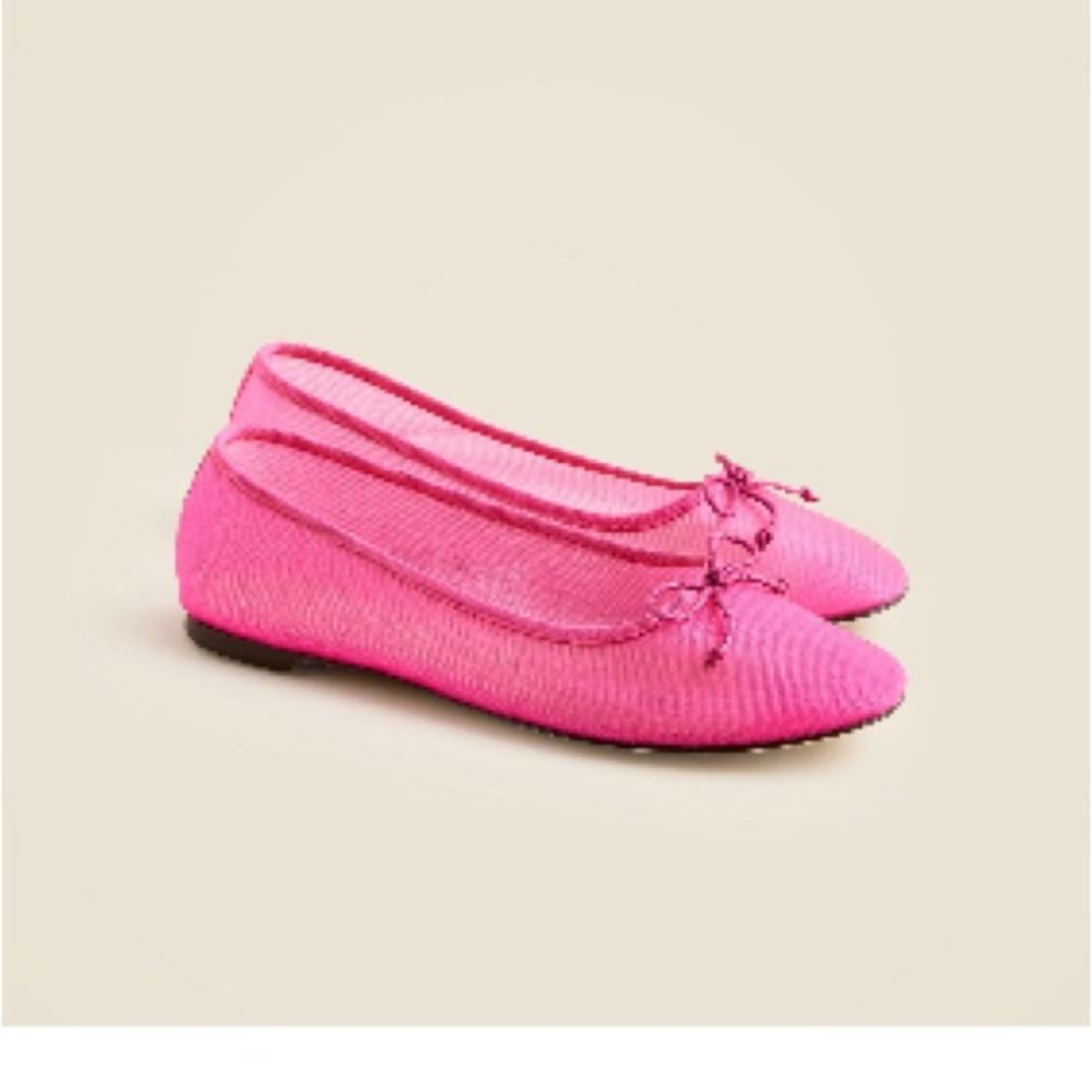 J.Crew Andi Ballet Flats in Mesh (size 9)